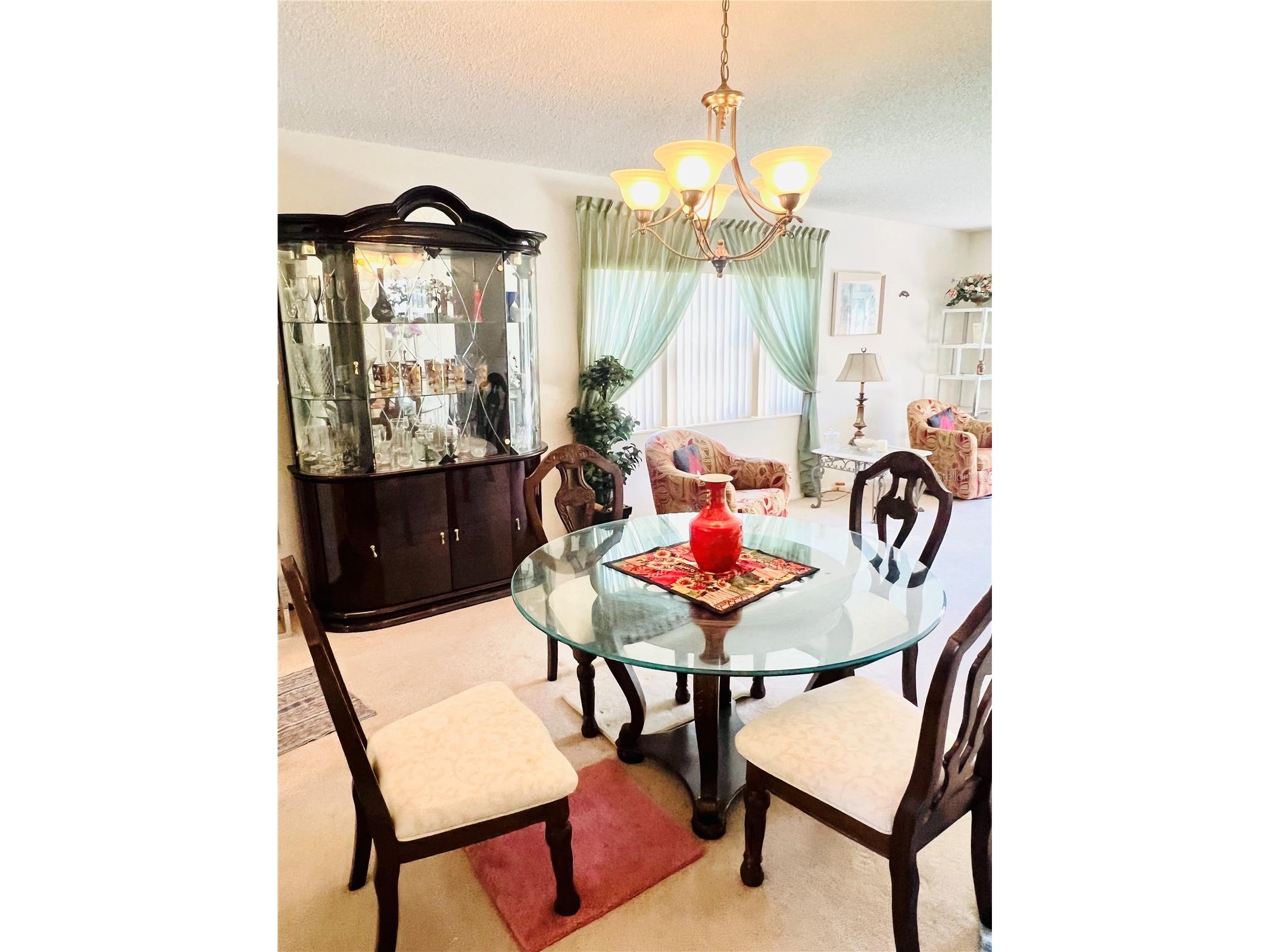 2471 Sumatran Way #43 Clearwater FL 33763 TB8477416 image13