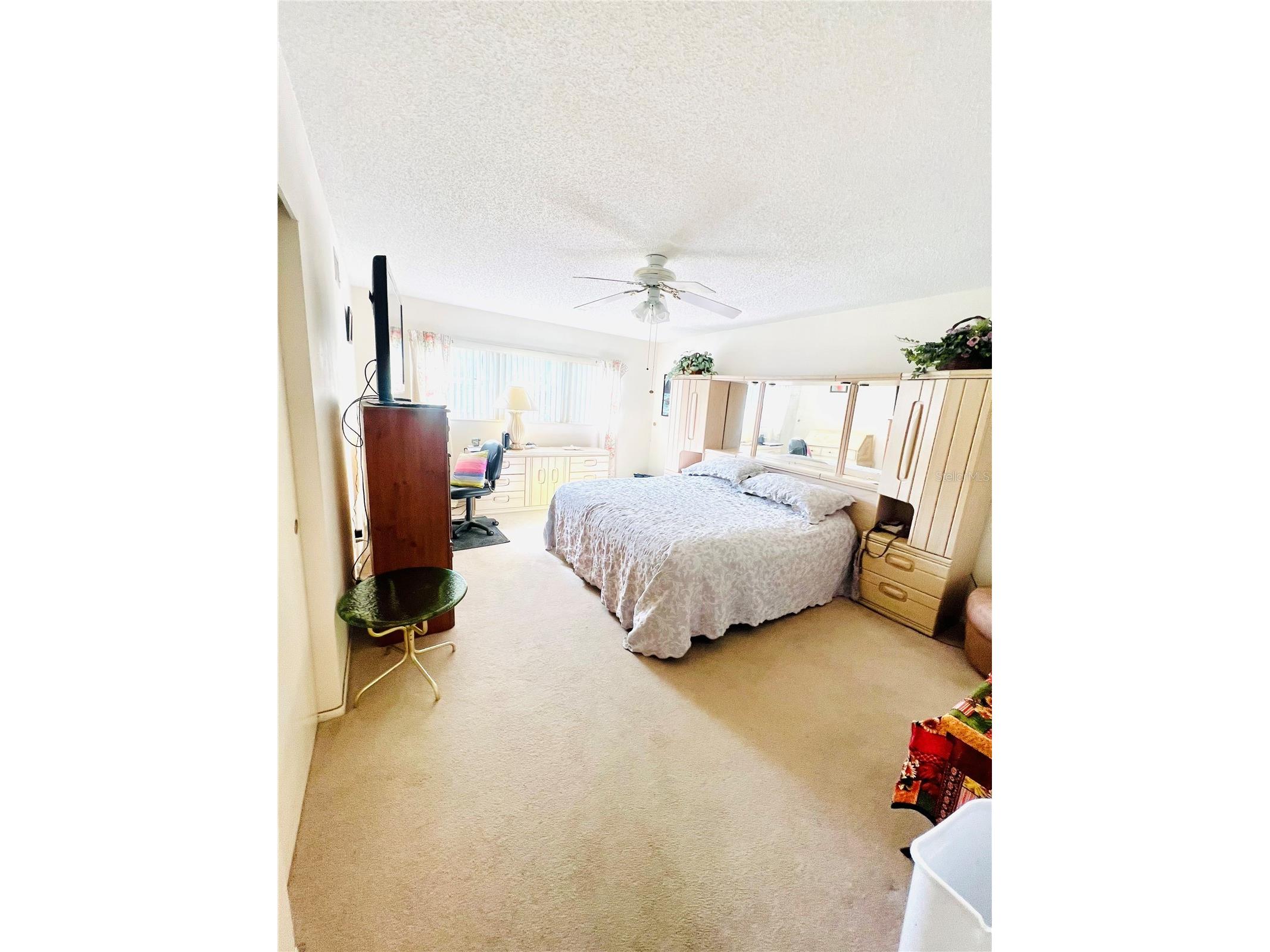2471 Sumatran Way #43 Clearwater FL 33763 TB8477416 image2