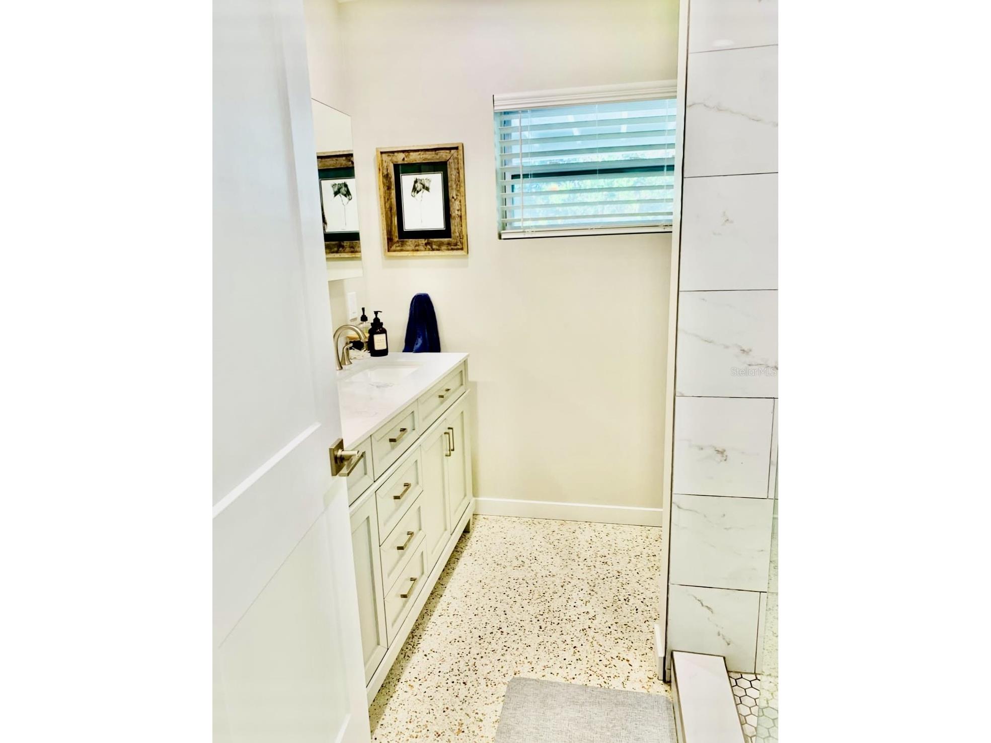 2472 Coronado Way Dunedin FL 34698 TB8498551 image11