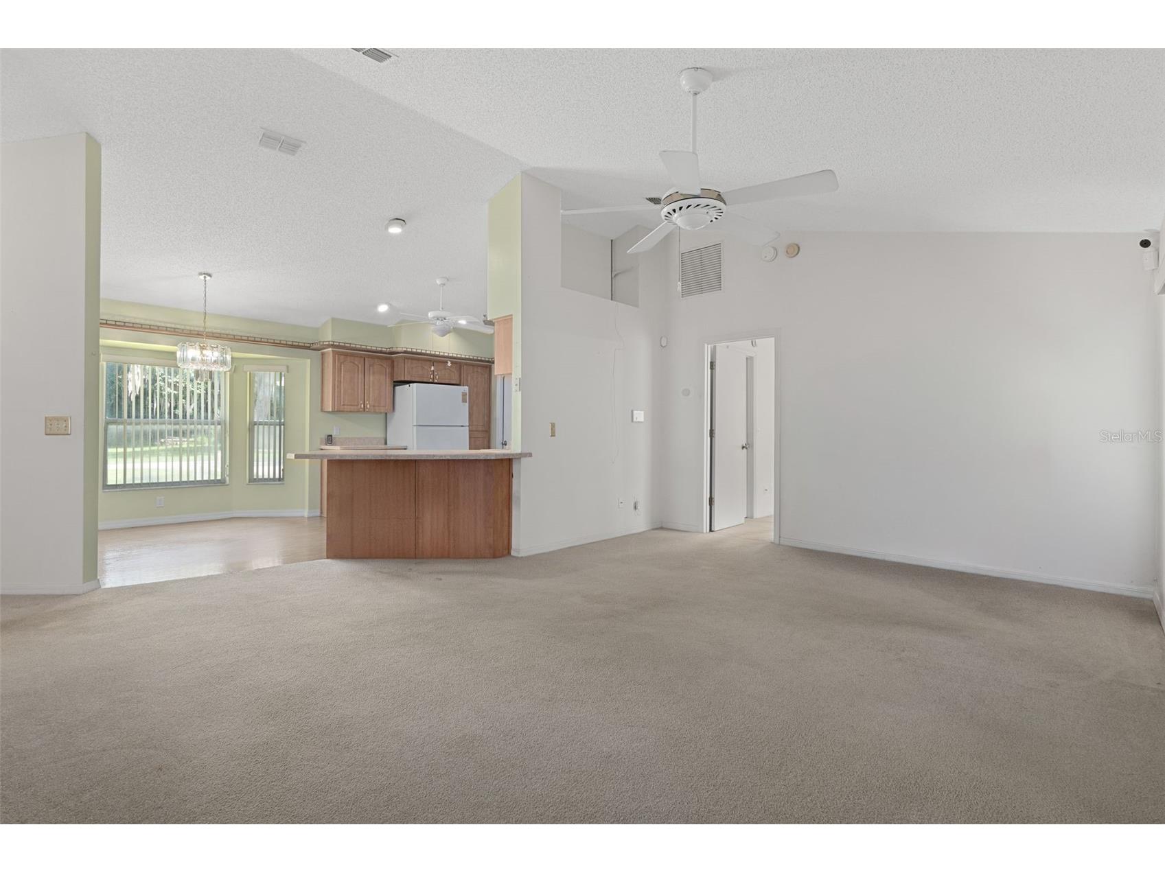2472 Cr 447 Lake Panasoffkee FL 33538 G5112792 image10