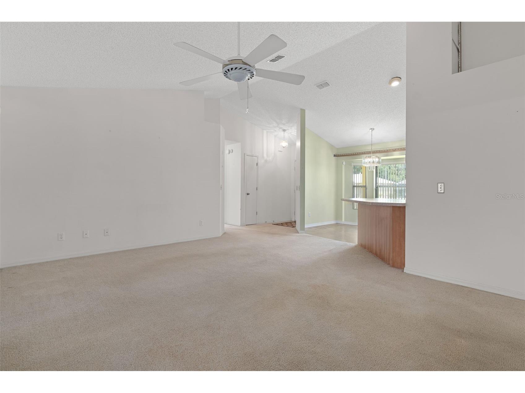2472 Cr 447 Lake Panasoffkee FL 33538 G5112792 image12
