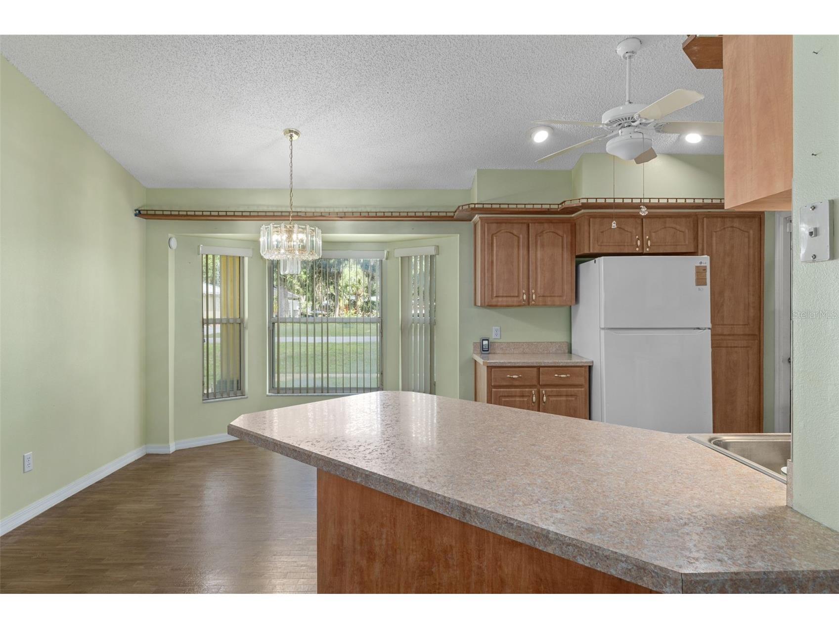 2472 Cr 447 Lake Panasoffkee FL 33538 G5112792 image14