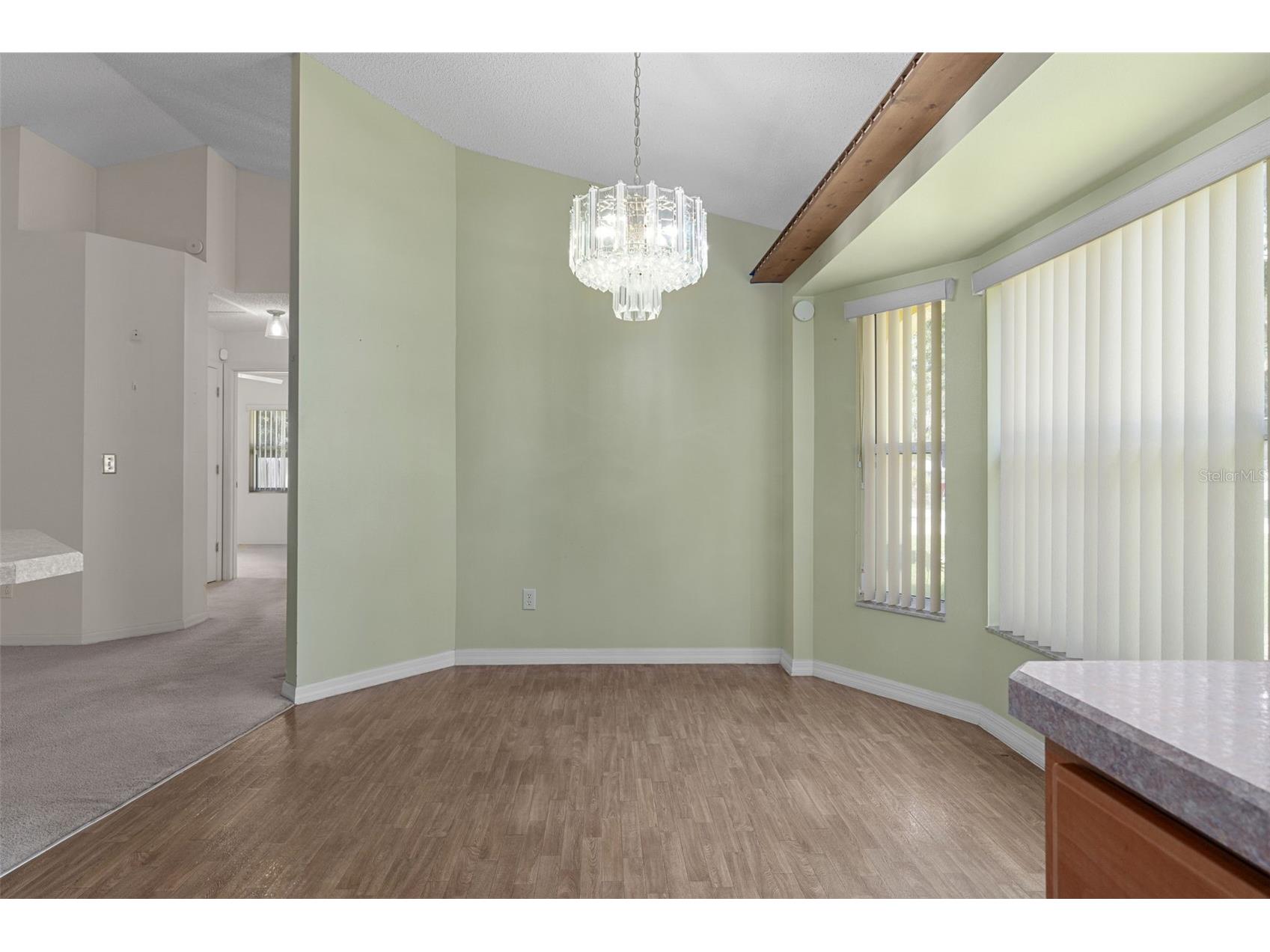 2472 Cr 447 Lake Panasoffkee FL 33538 G5112792 image16