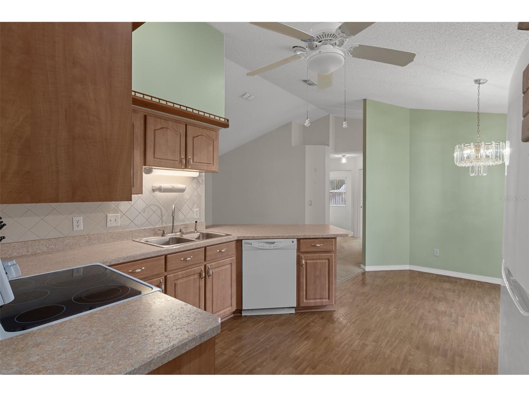 2472 Cr 447 Lake Panasoffkee FL 33538 G5112792 image19