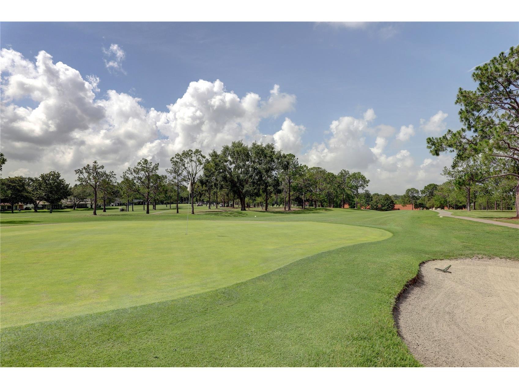 2472 Malcolm Drive Palm Harbor FL 34684 - LAKE TARPON TB8510803 image46