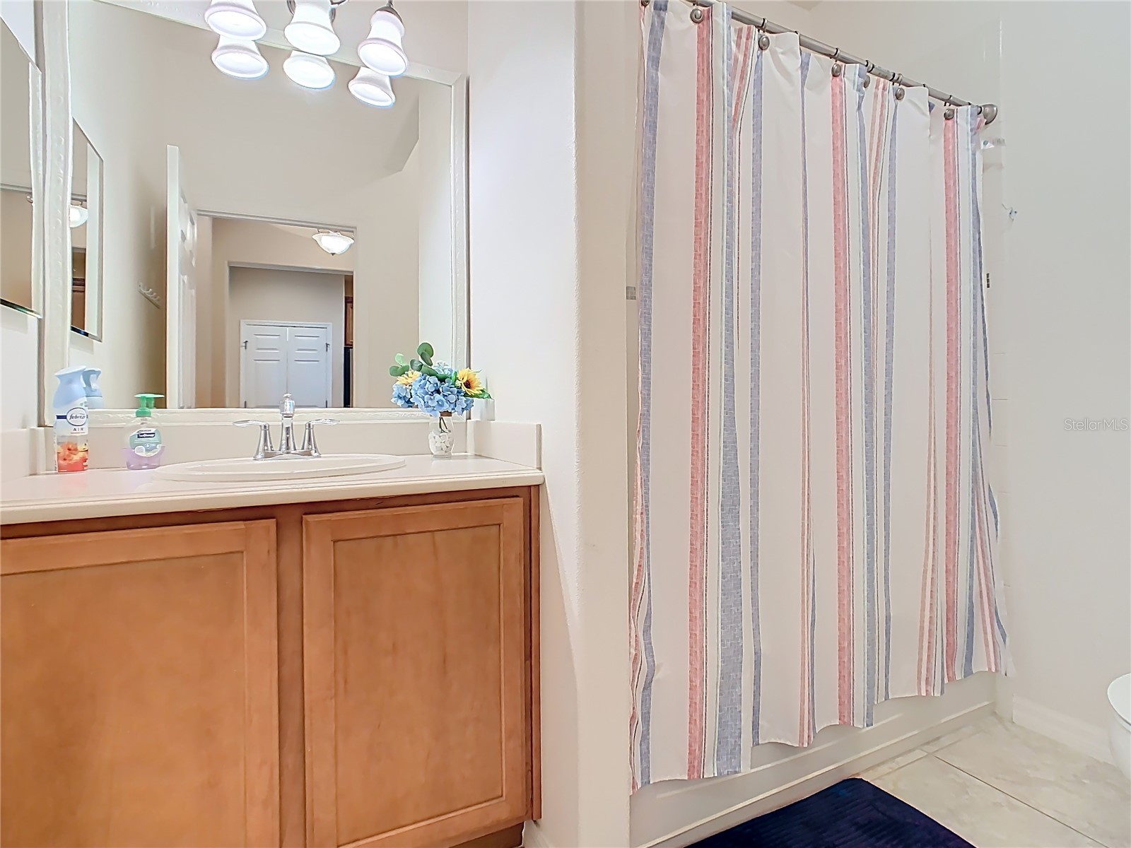 2472 Palm Tree Drive Kissimmee FL 34759 S5140601 image38