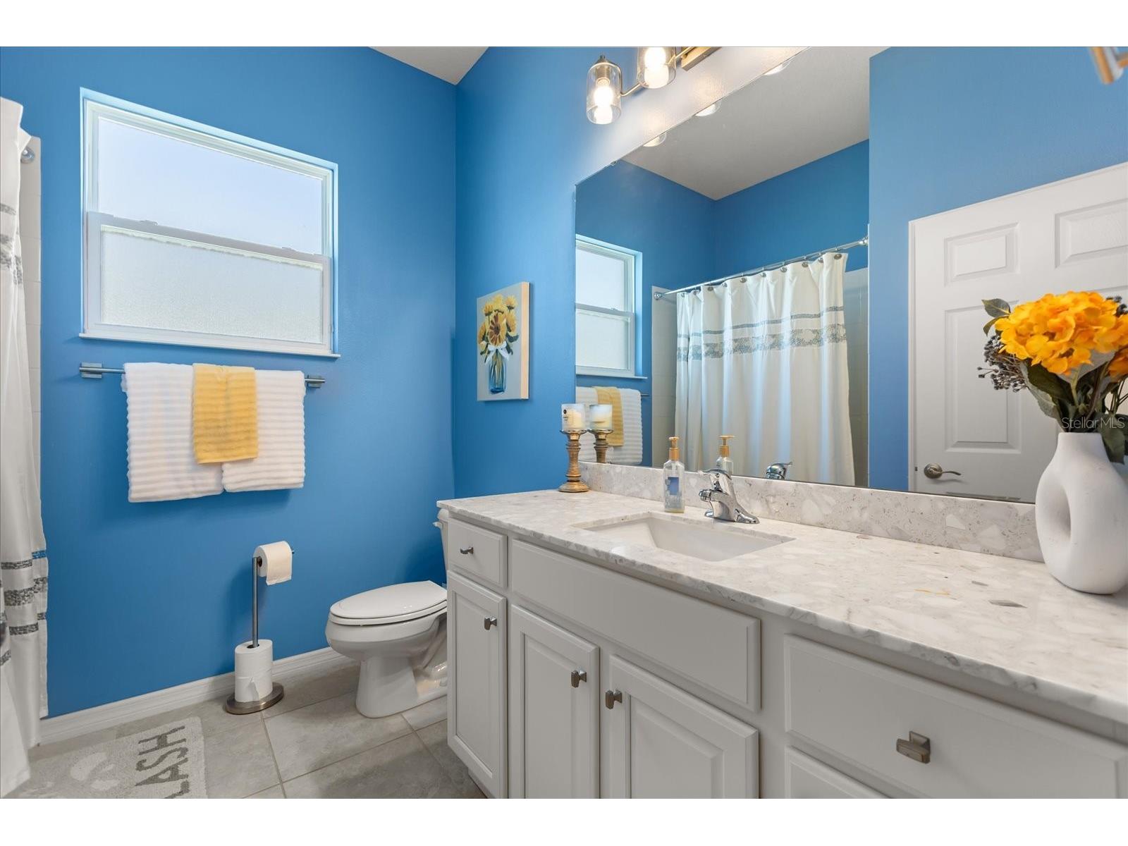 2472 Pawtucket Pass Mount Dora FL 32757 O6400349 image22