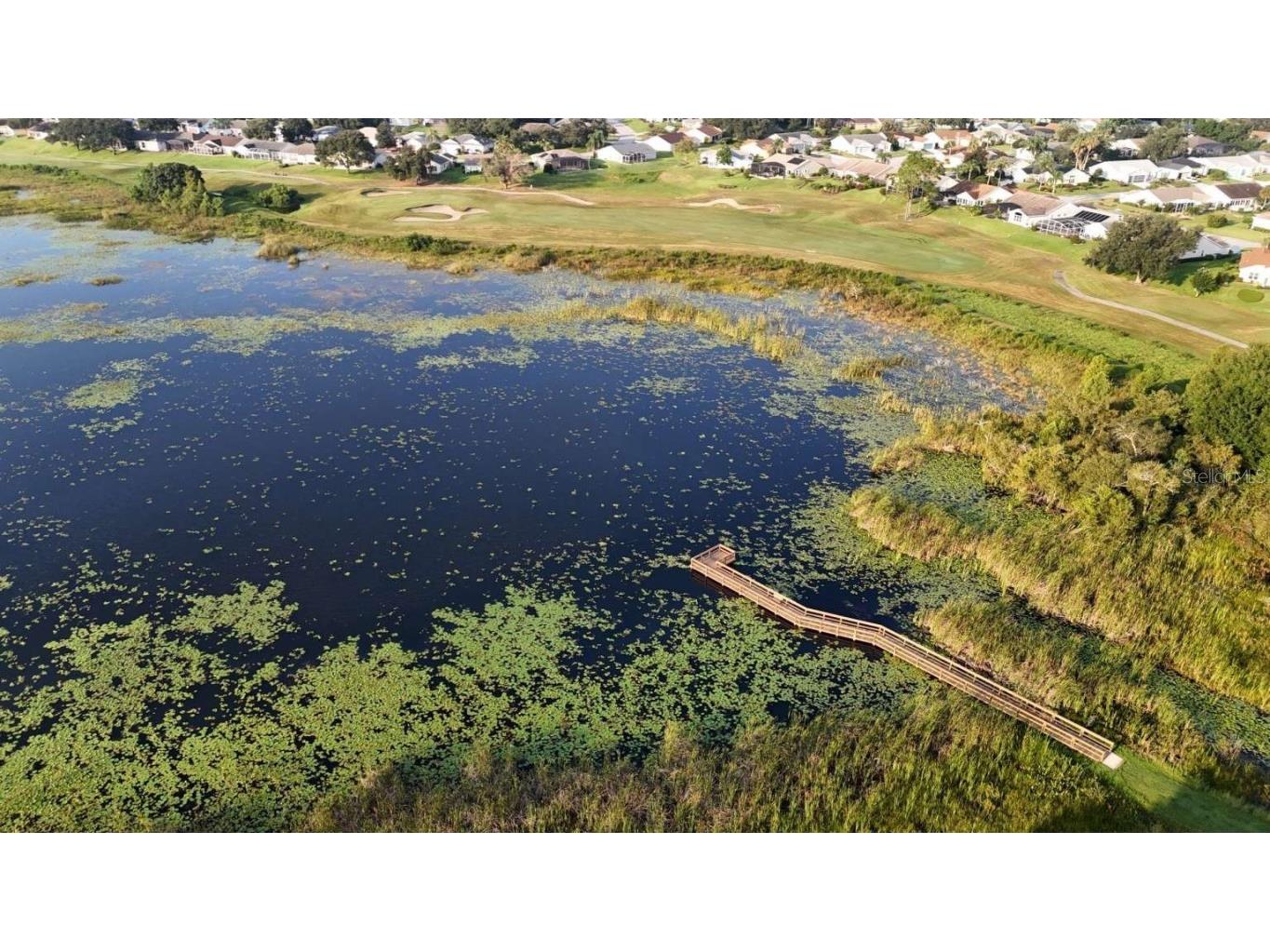 24725 Brightwater Court Leesburg FL 34748 TB8445644 image28