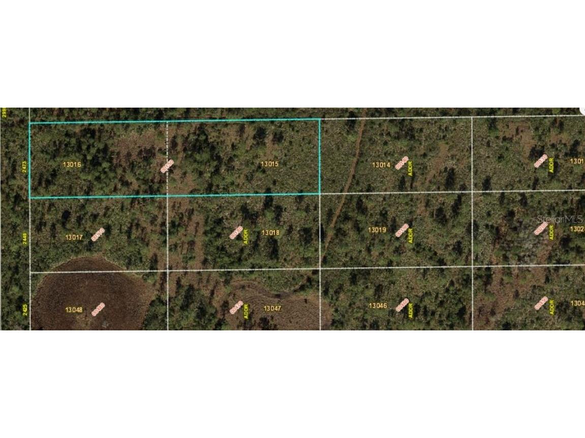 2473 Dill Road Orlando FL 32820 O6244990 image2