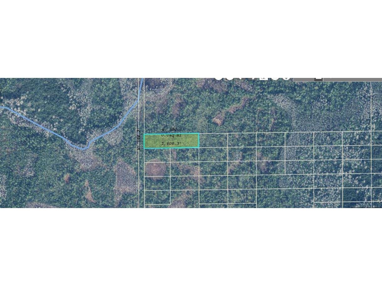 2473 Dill Road Orlando FL 32820 O6244990 image5