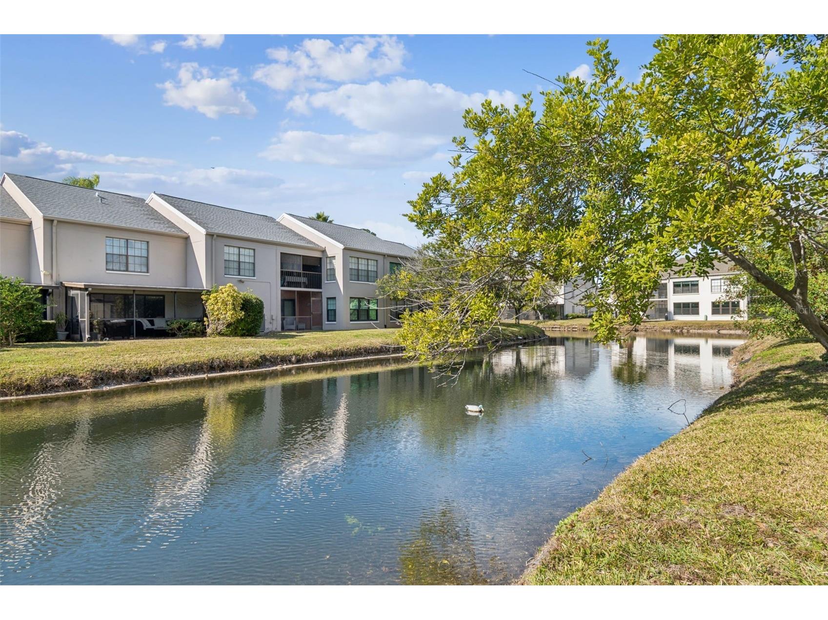 2473 Kingfisher Lane #I103 Clearwater FL 33762 TB8468462 image44