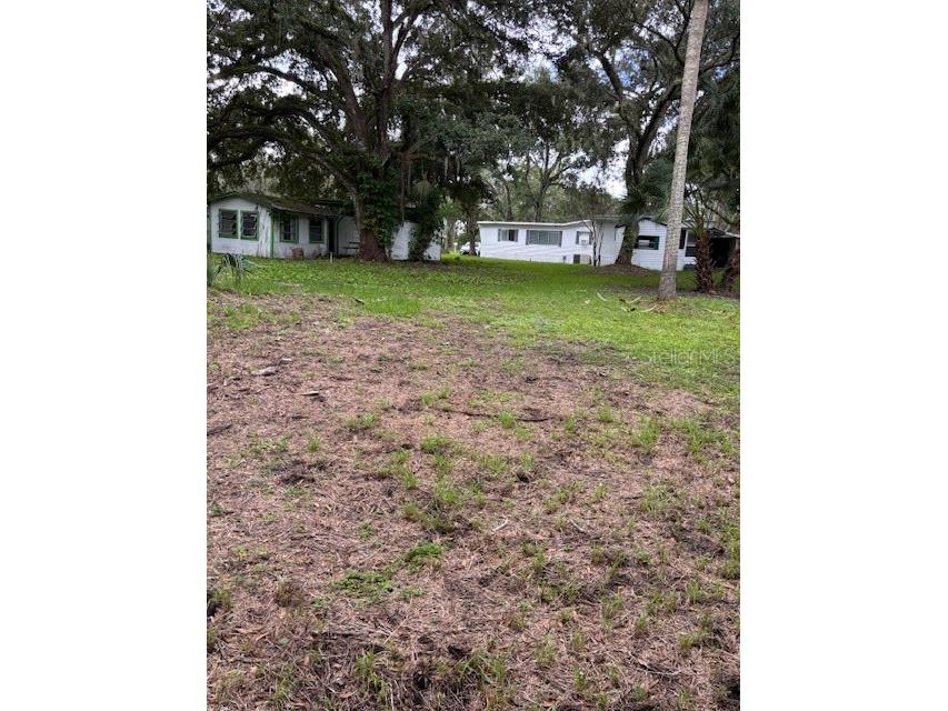 24739 Audrey Road Land O Lakes FL 34639 TB8435250 image15