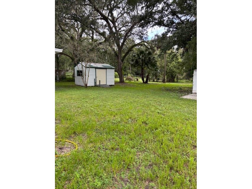 24739 Audrey Road Land O Lakes FL 34639 TB8435250 image17