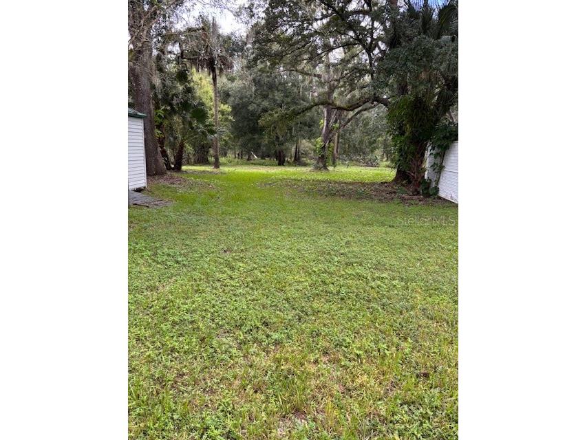 24739 Audrey Road Land O Lakes FL 34639 TB8435250 image18