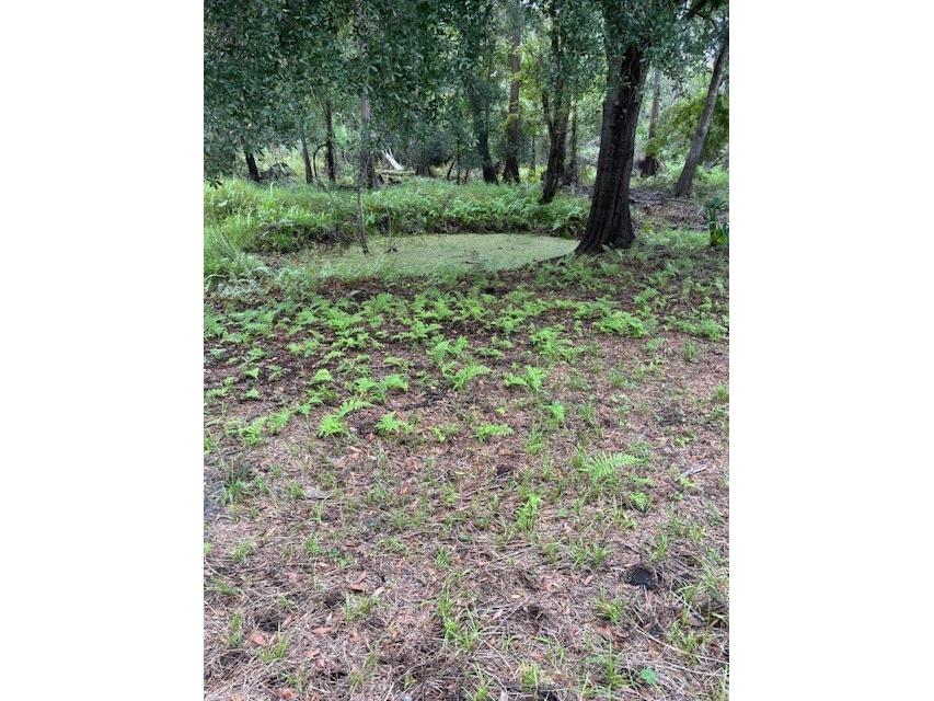 24739 Audrey Road Land O Lakes FL 34639 TB8435250 image19