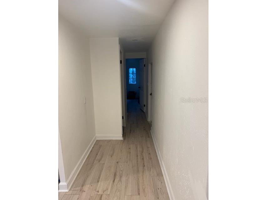 24739 Audrey Road Land O Lakes FL 34639 TB8435250 image8