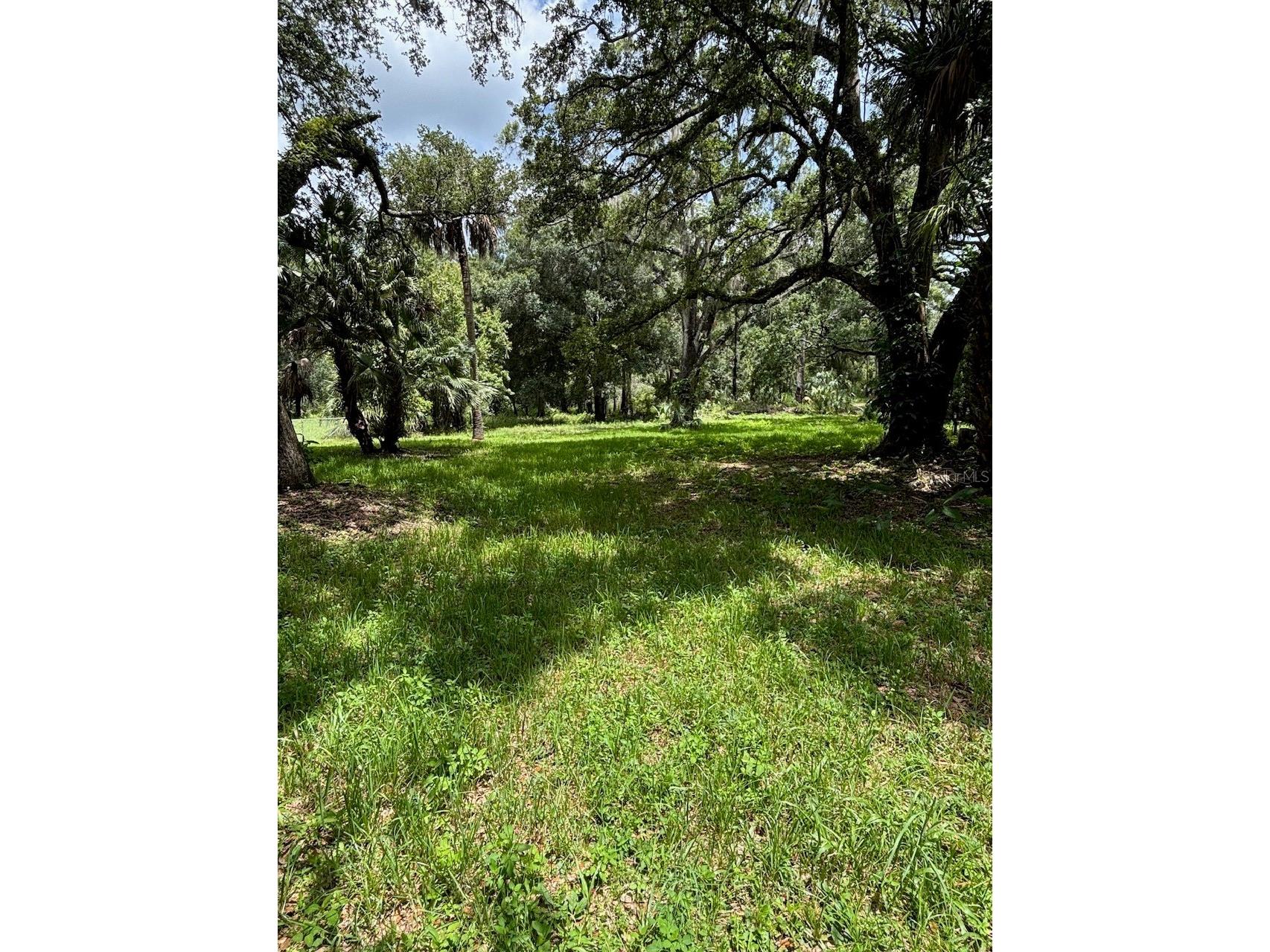 24739 Audrey Road Land O Lakes FL 34639 TB8528970 image32