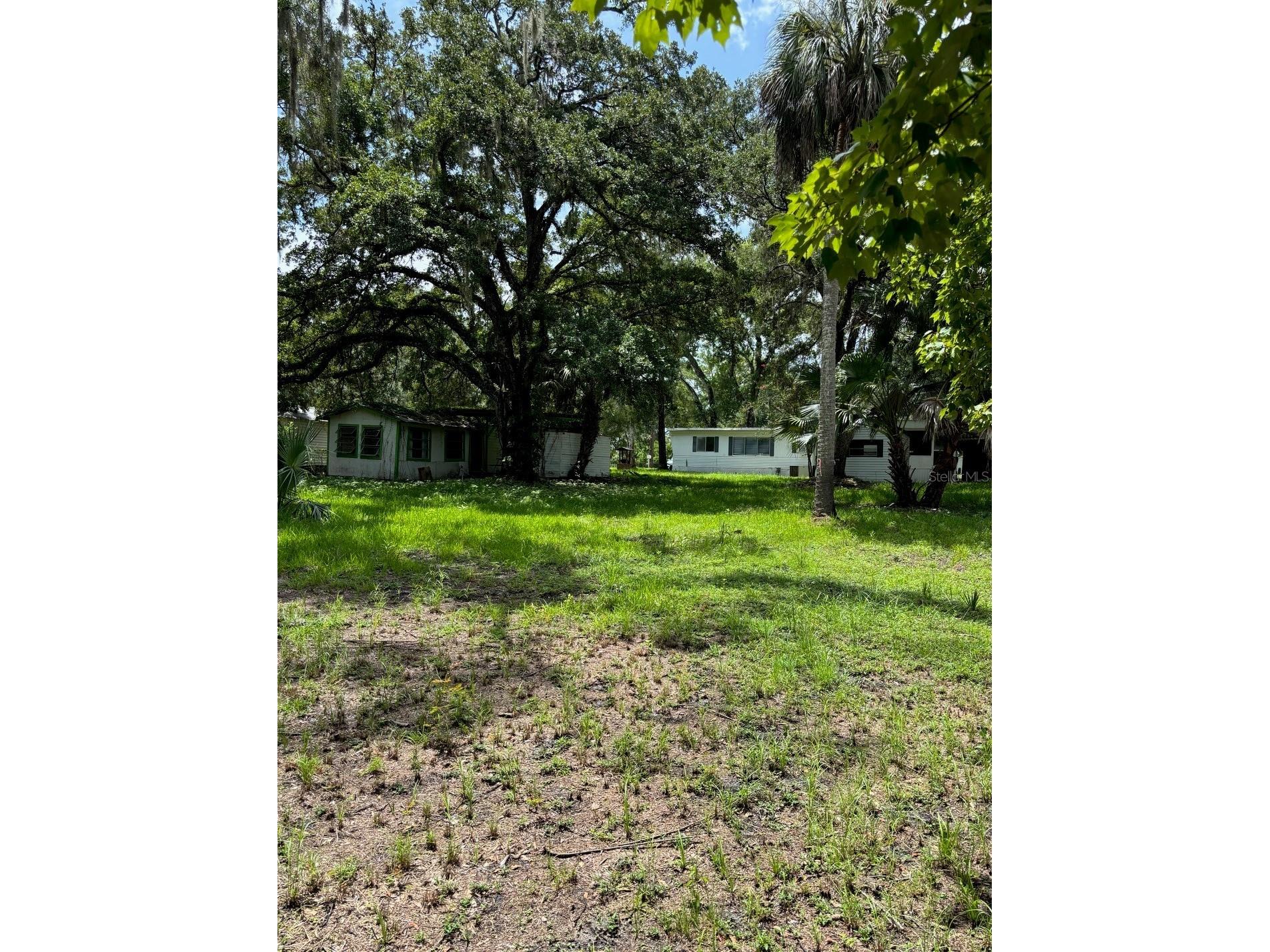 24739 Audrey Road Land O Lakes FL 34639 TB8528970 image33