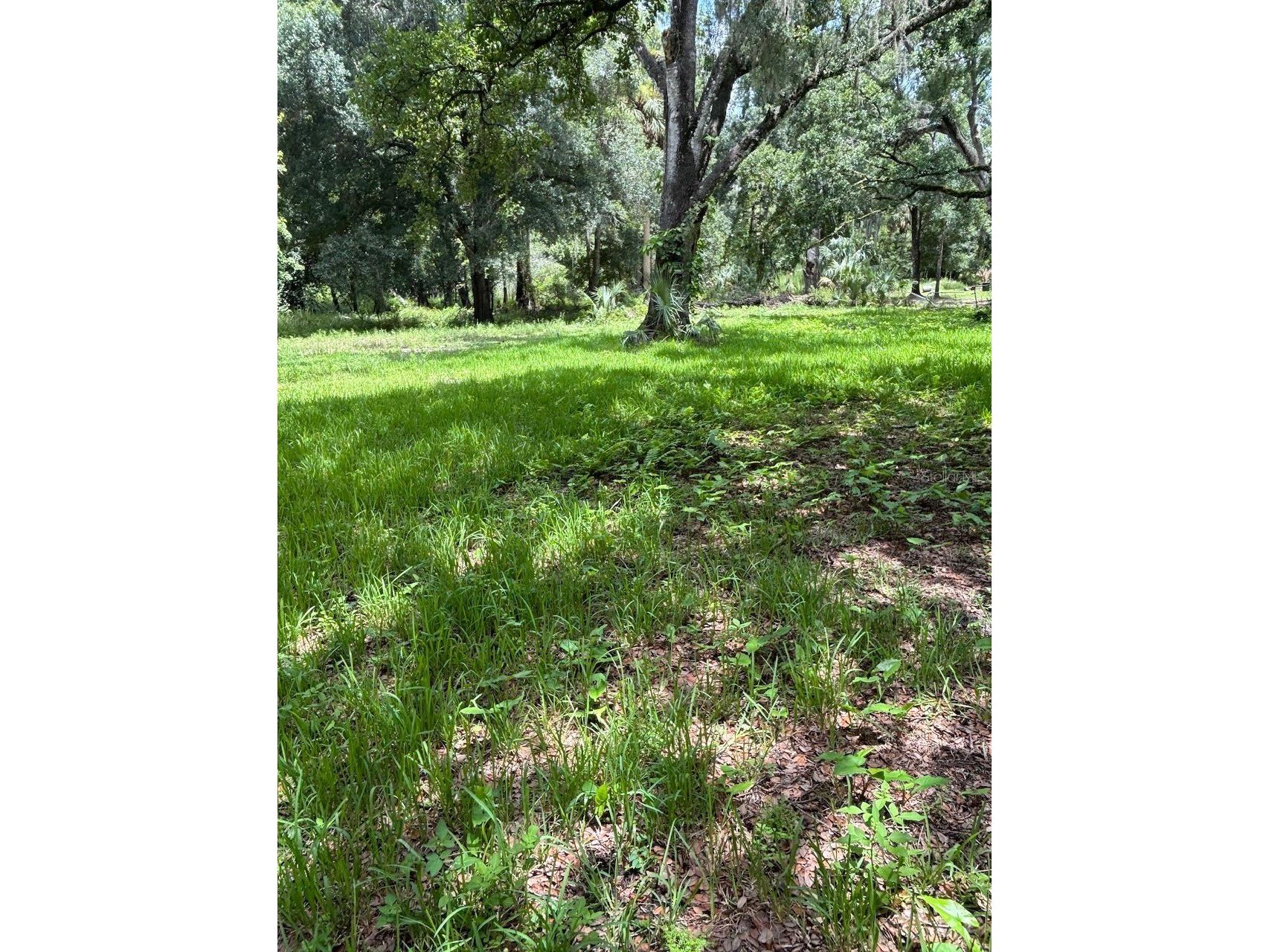 24739 Audrey Road Land O Lakes FL 34639 TB8528970 image34