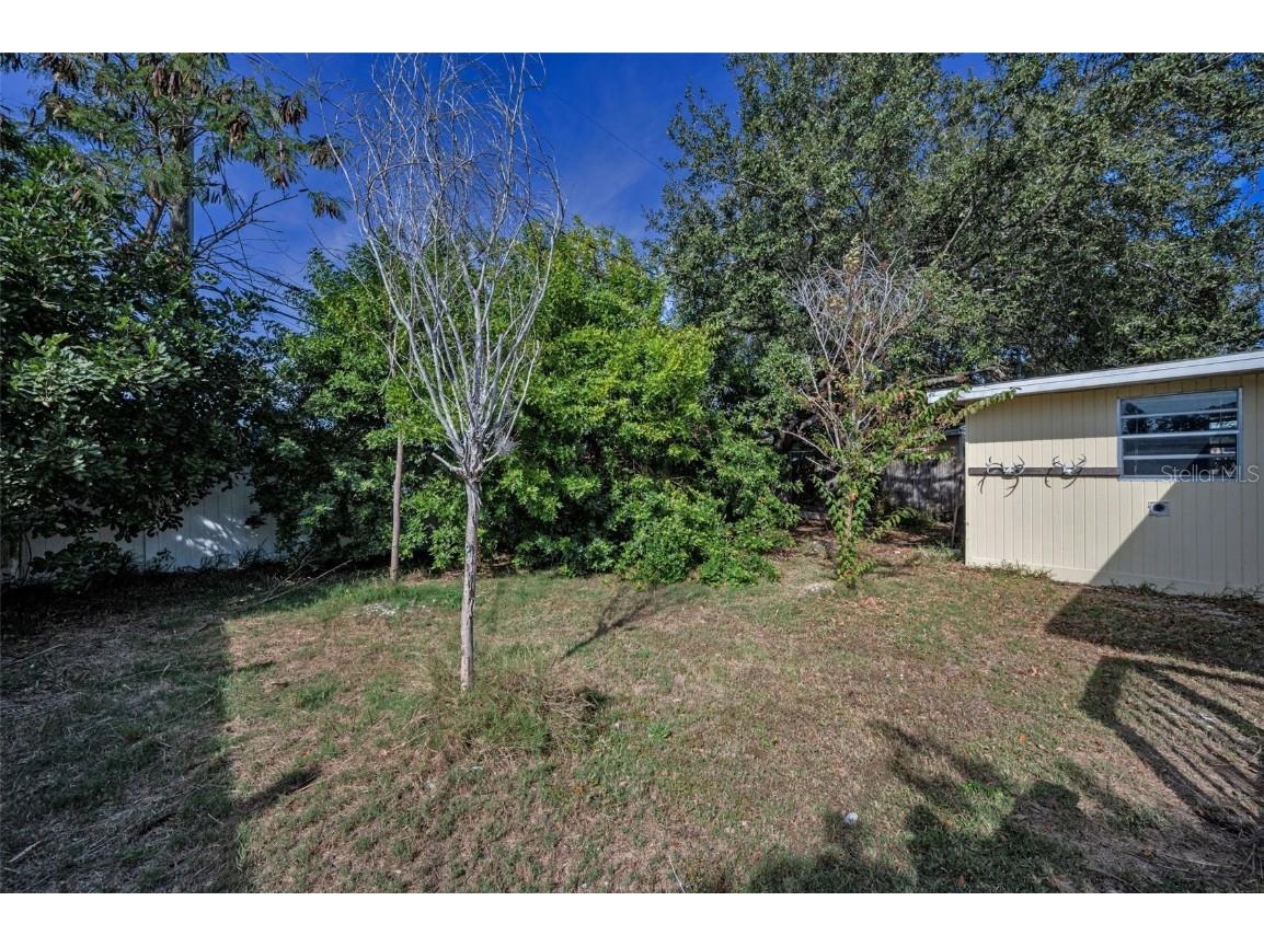 2476 Coronado Way Dunedin FL 34698 TB8454623 image26