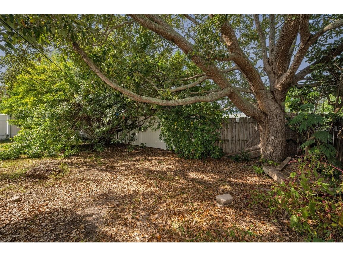 2476 Coronado Way Dunedin FL 34698 TB8454623 image30