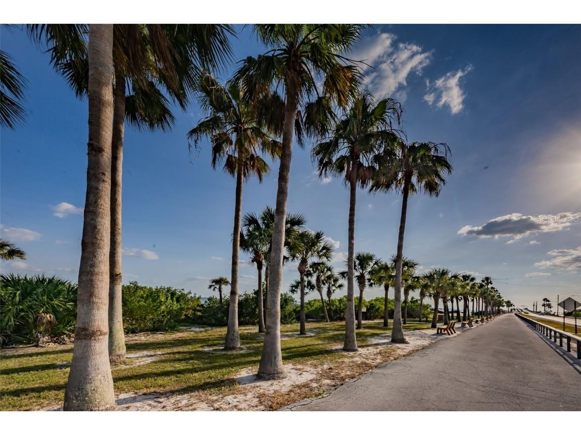 2476 Coronado Way Dunedin FL 34698 TB8454623 image36