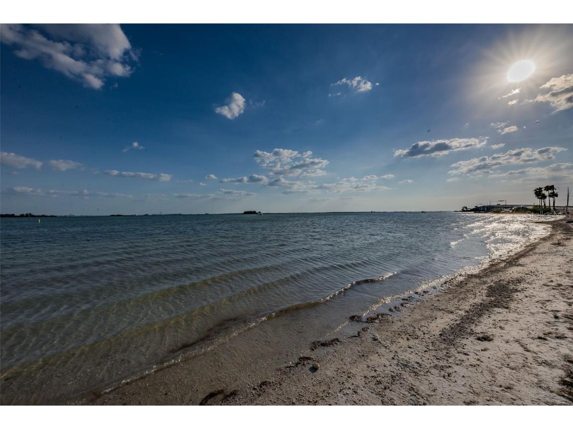 2476 Coronado Way Dunedin FL 34698 TB8454623 image38