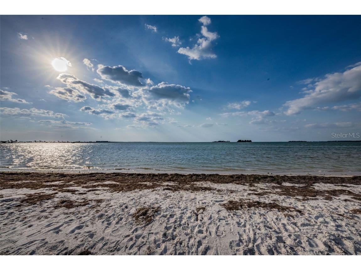 2476 Coronado Way Dunedin FL 34698 TB8454623 image40