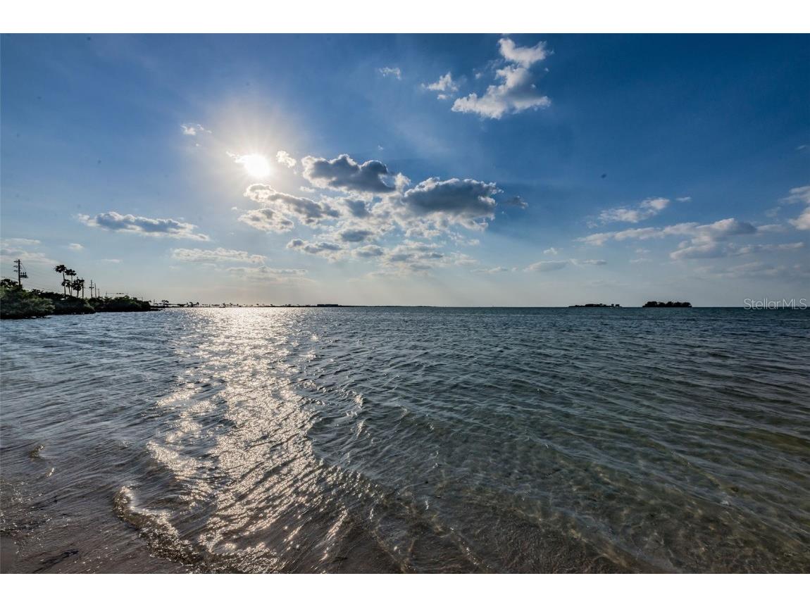 2476 Coronado Way Dunedin FL 34698 TB8454623 image41