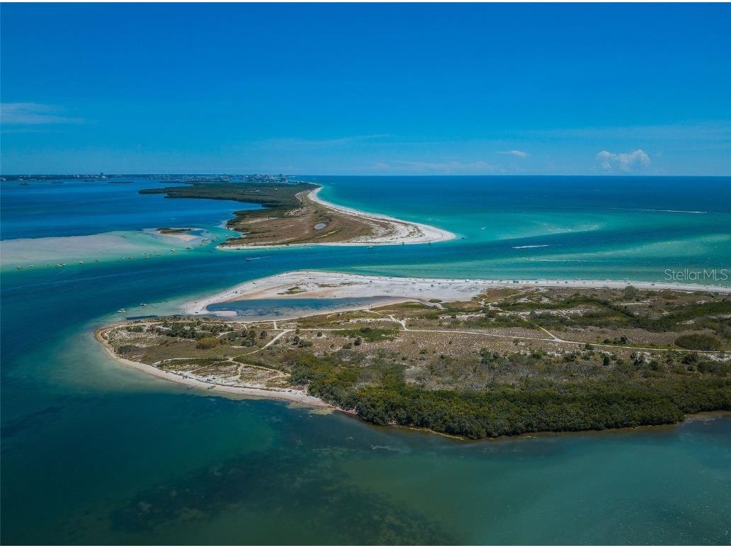 2476 Coronado Way Dunedin FL 34698 TB8454623 image47