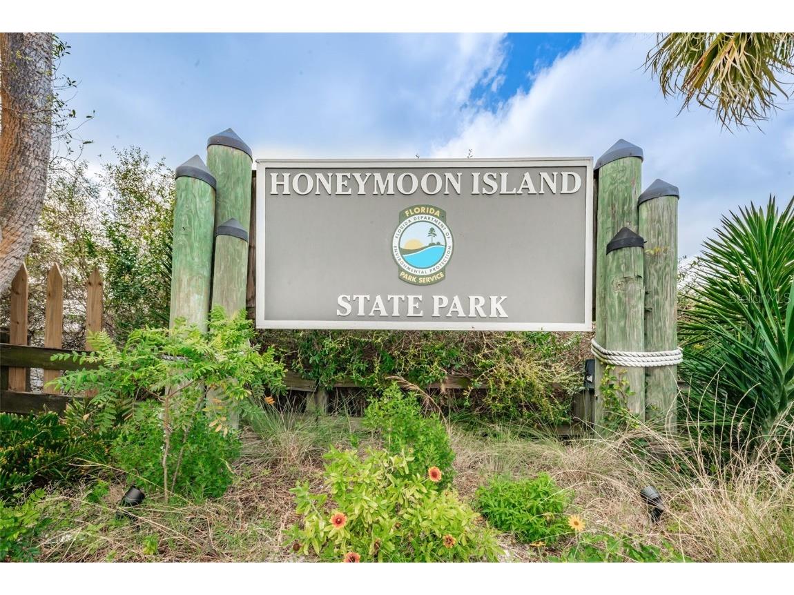 2476 Coronado Way Dunedin FL 34698 TB8454623 image48