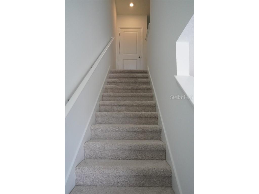 2476 Riversong Lodge Ln Wesley Chapel FL 33543 W7881342 image11