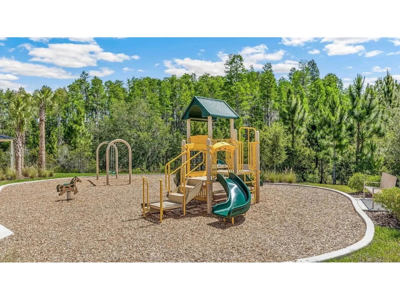 2476 Riversong Lodge Ln Wesley Chapel FL 33543 W7881342 image21