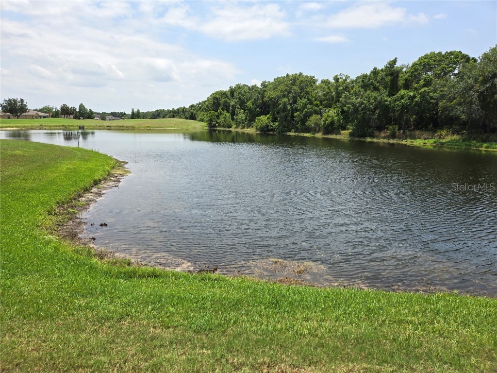 2477 New Haven Circle #0 Sun City Center FL 33573 T3527032 image1