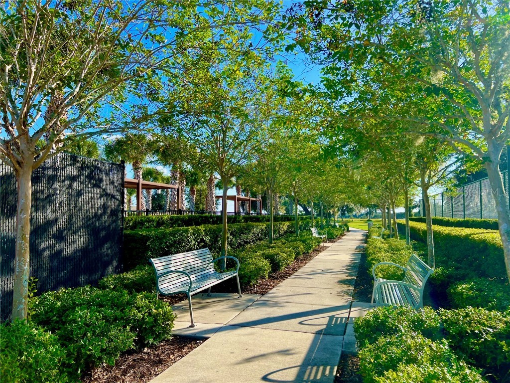 2477 Spring Tune Alley Kissimmee FL 34744 O6355424 image27