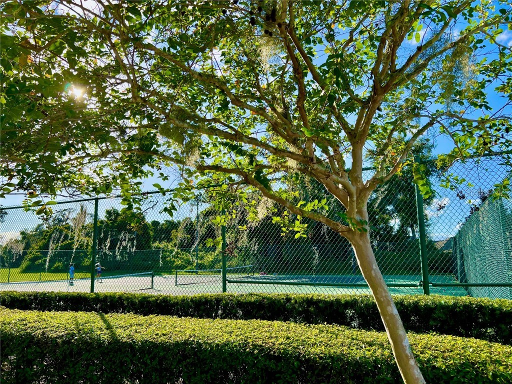 2477 Spring Tune Alley Kissimmee FL 34744 O6355424 image28