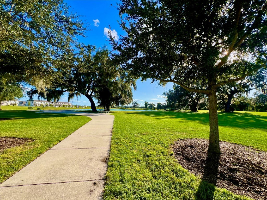 2477 Spring Tune Alley Kissimmee FL 34744 O6355424 image29