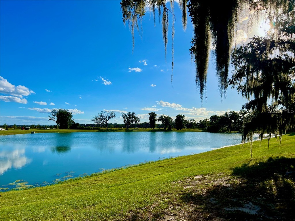 2477 Spring Tune Alley Kissimmee FL 34744 O6355424 image30