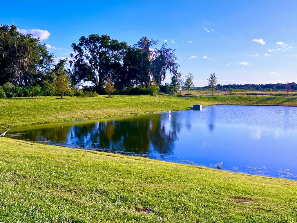 2477 Spring Tune Alley Kissimmee FL 34744 O6355424 image7