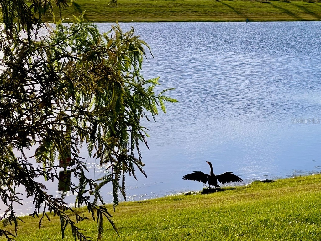 2477 Spring Tune Alley Kissimmee FL 34744 O6355424 image8