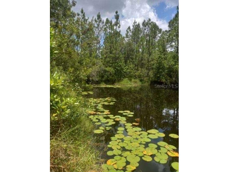 2477 Thacker Trail Kissimmee FL 34747 O6395094 image55