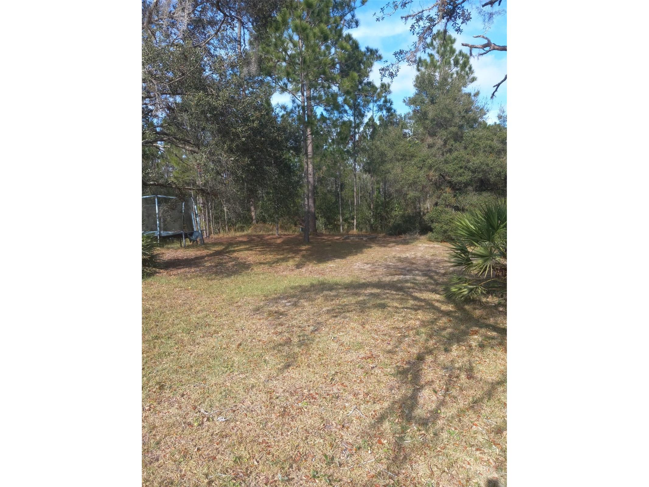 2477 Thacker Trail Kissimmee FL 34747 O6395094 image56