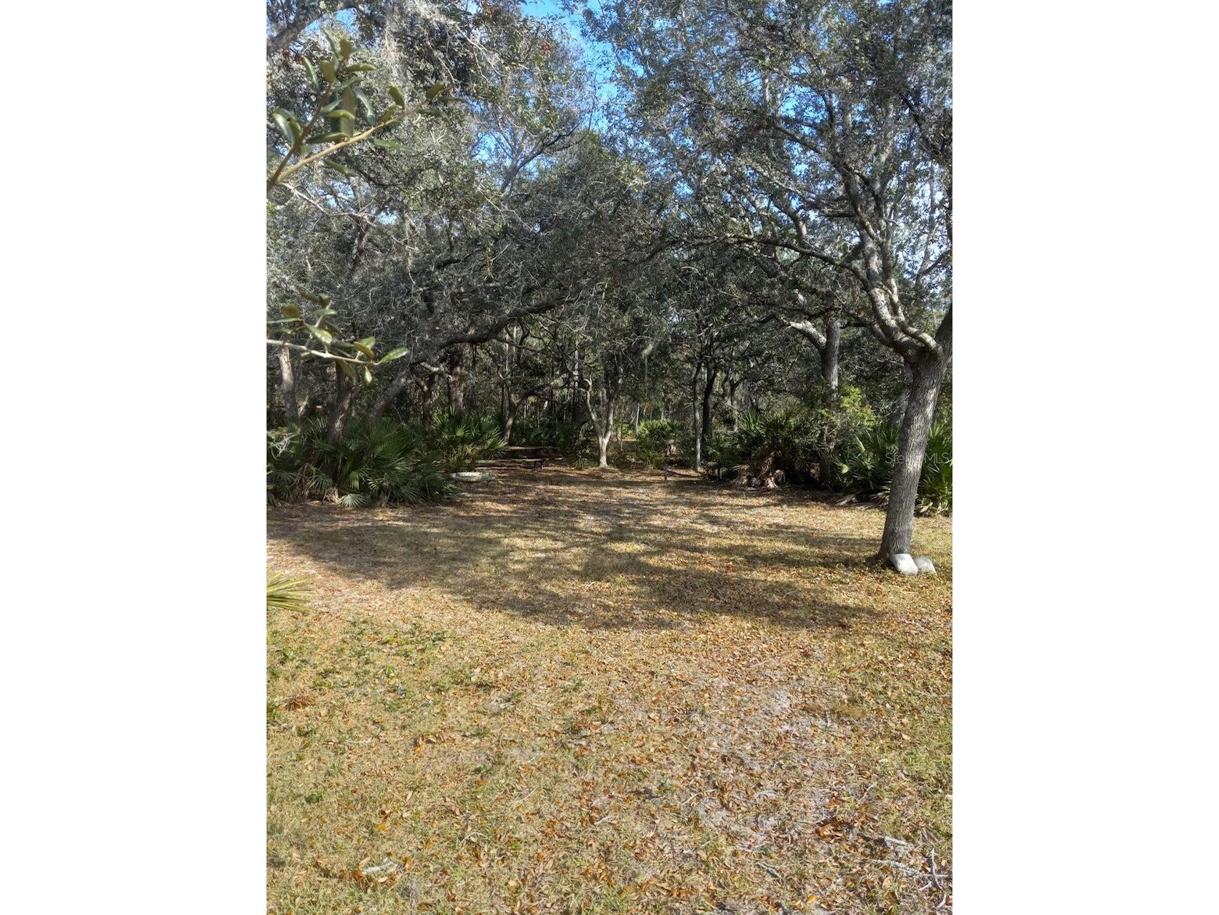 2477 Thacker Trail Kissimmee FL 34747 O6395094 image57