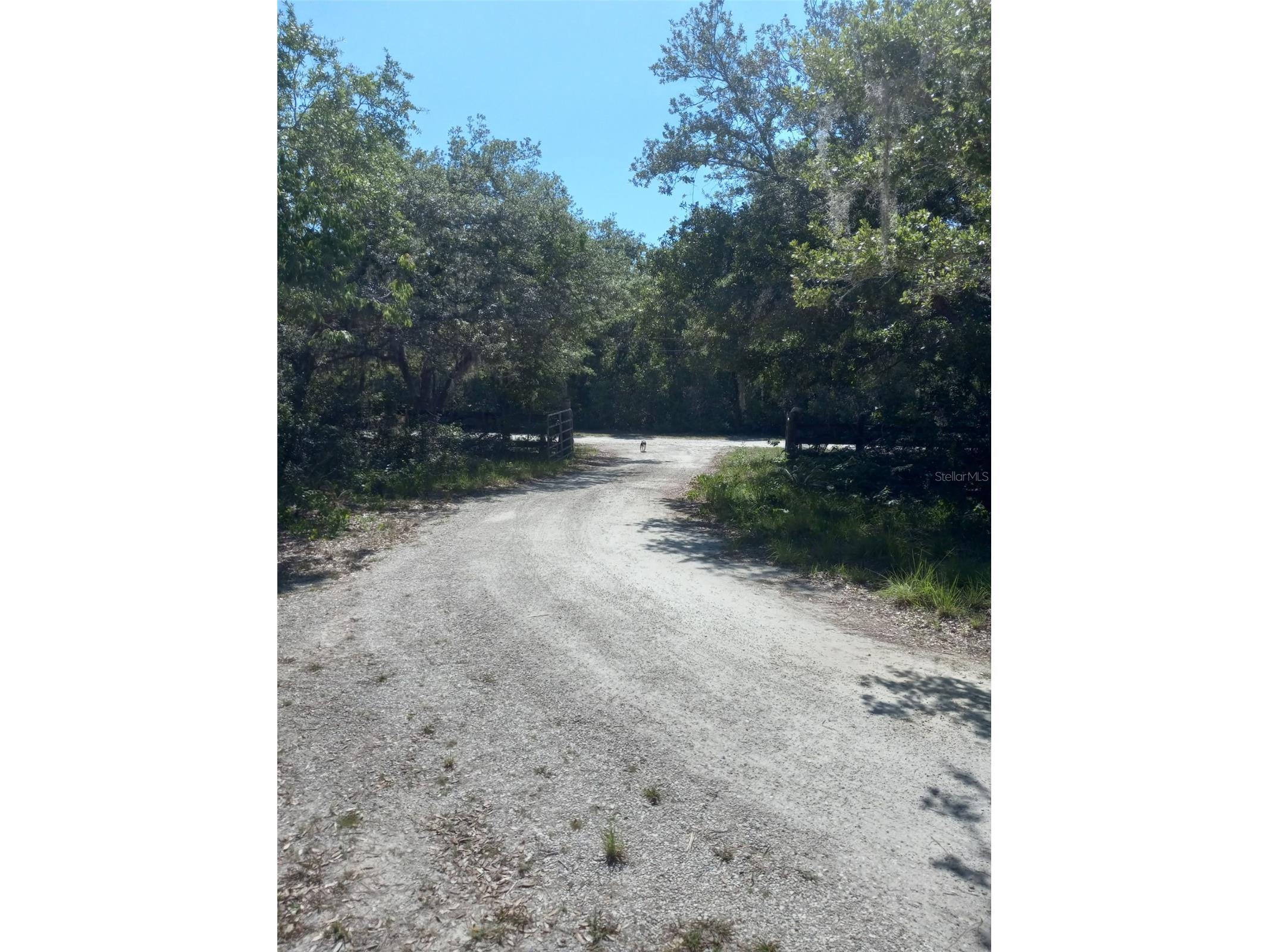 2477 Thacker Trail Kissimmee FL 34747 O6395094 image61