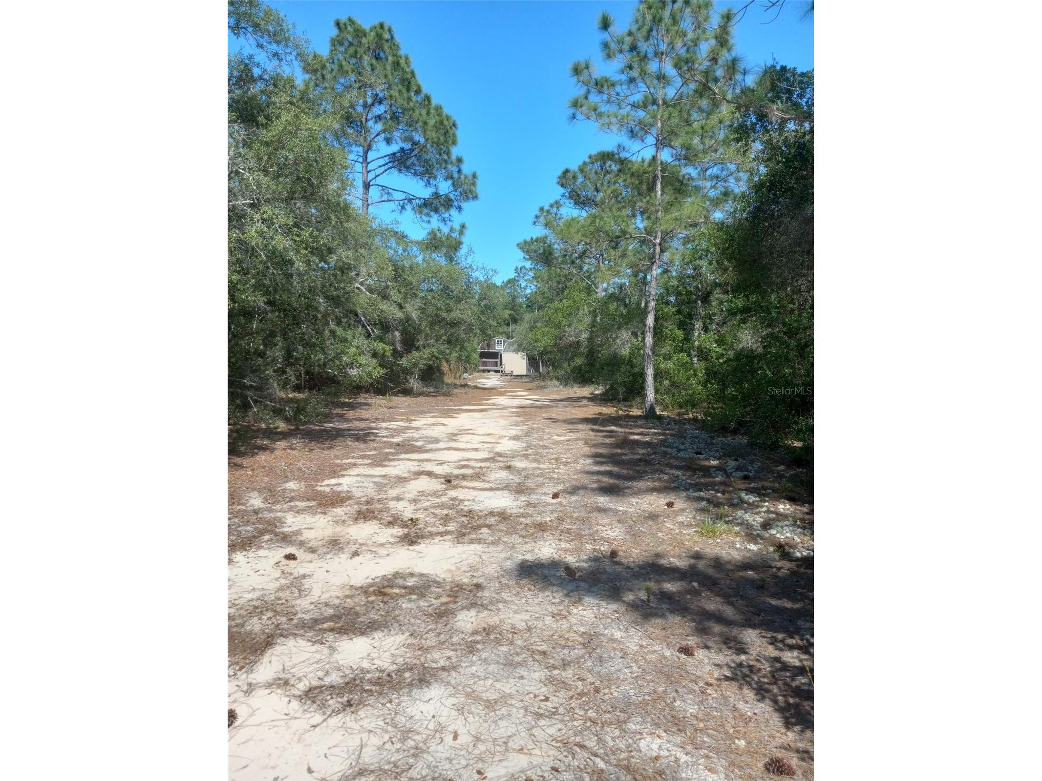 2477 Thacker Trail Kissimmee FL 34747 O6395094 image62