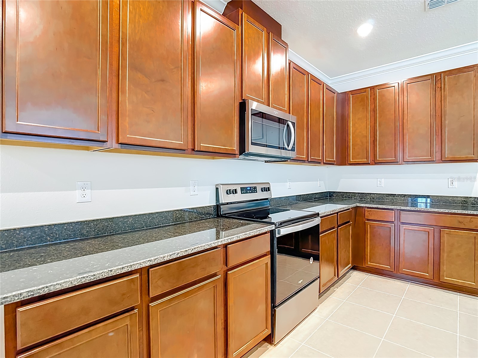 2477 Water Willow Drive Lutz FL 33558 TB8472443 image14