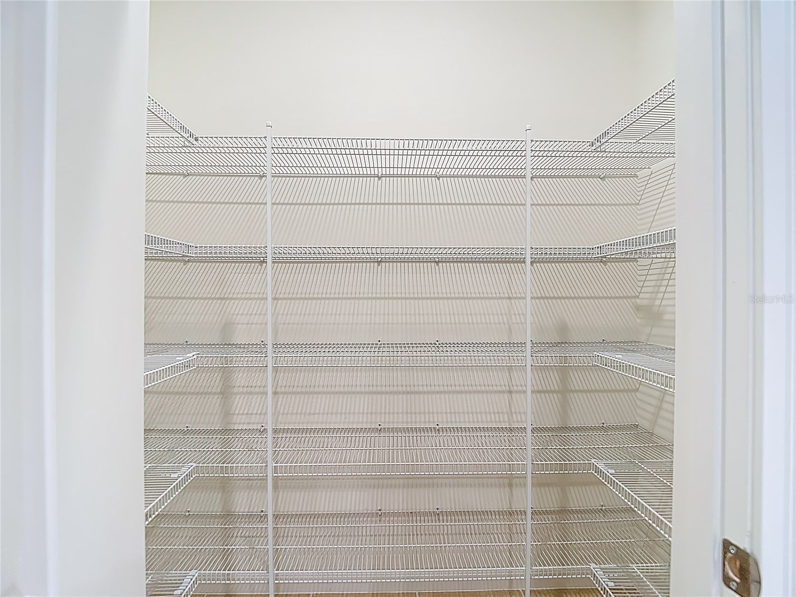 2477 Water Willow Drive Lutz FL 33558 TB8472443 image15