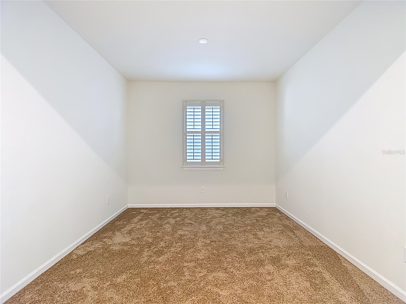 2477 Water Willow Drive Lutz FL 33558 TB8472443 image19