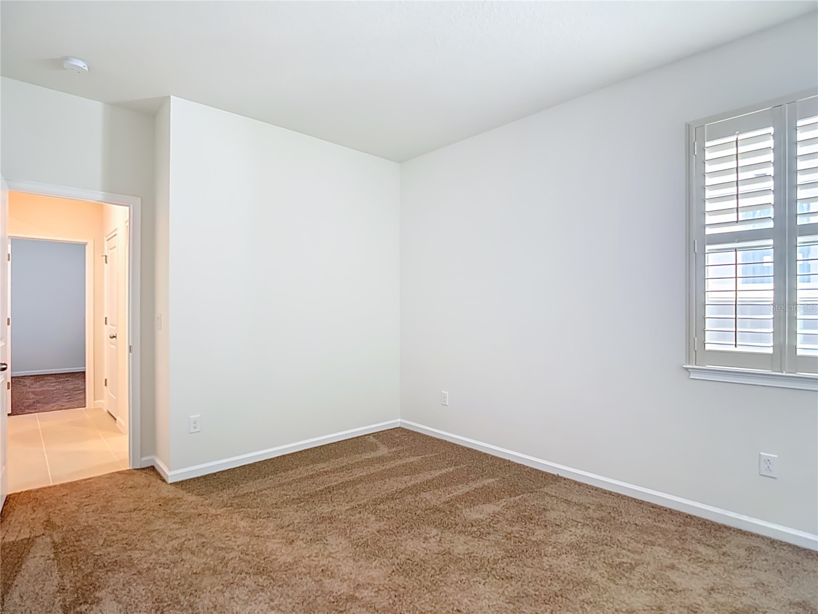 2477 Water Willow Drive Lutz FL 33558 TB8472443 image30