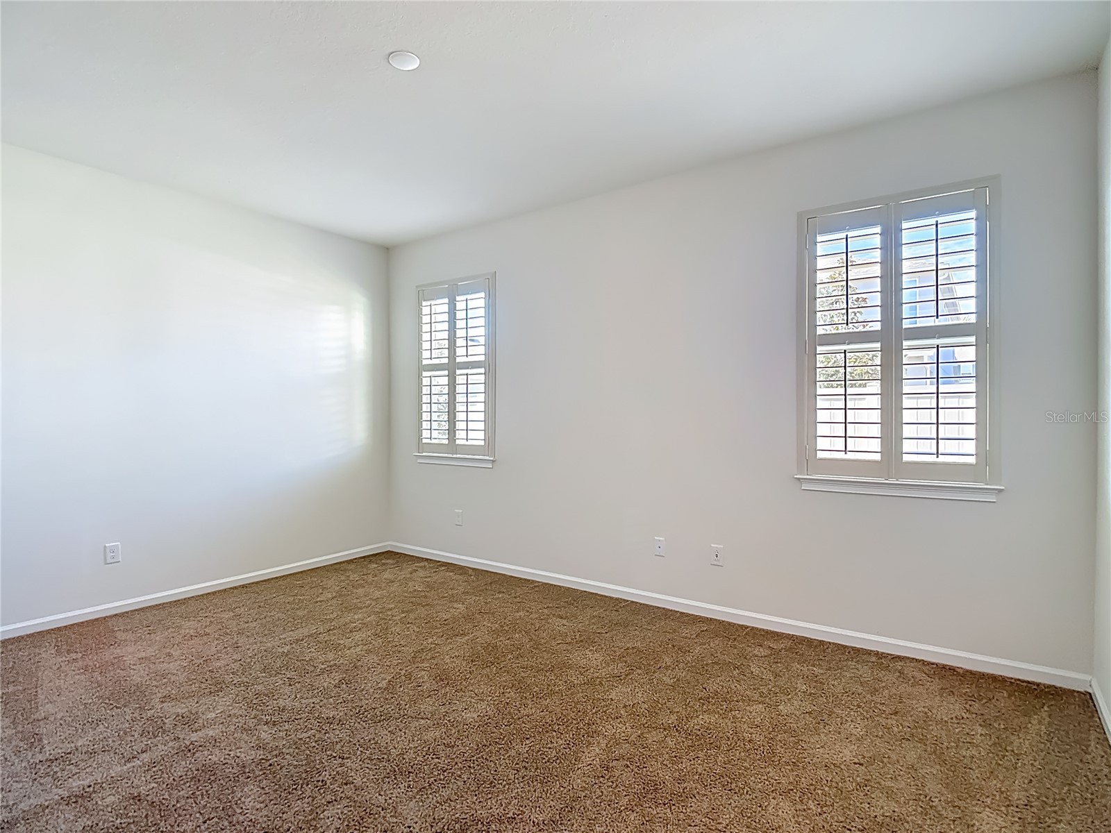 2477 Water Willow Drive Lutz FL 33558 TB8472443 image35